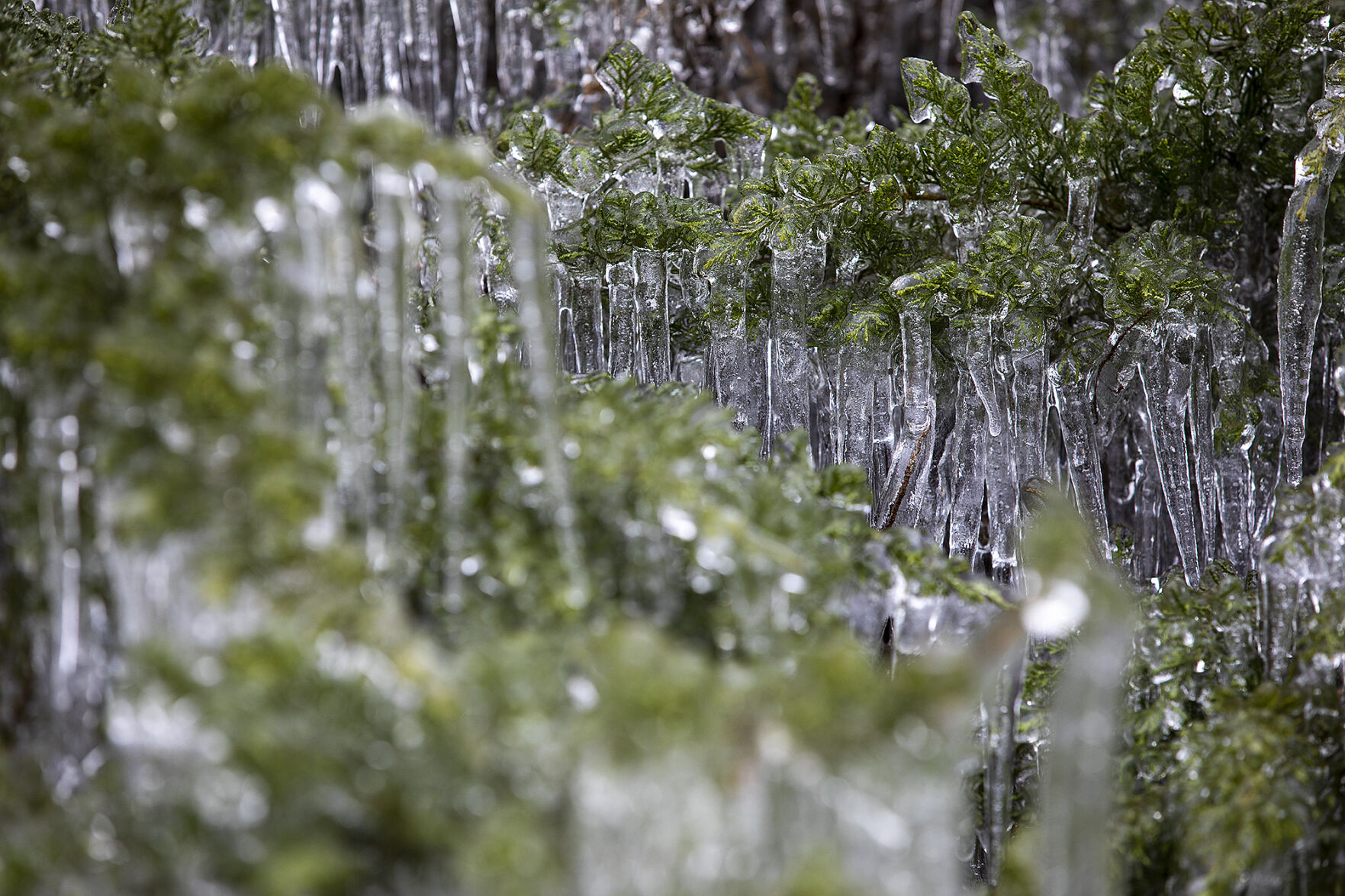 Winter weather